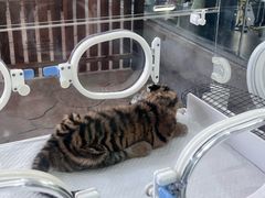 -宁波野生动物园