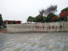 -铁山坪森林公园