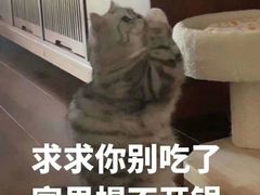 -海柜涮烤一体自助餐厅(金鹰店)