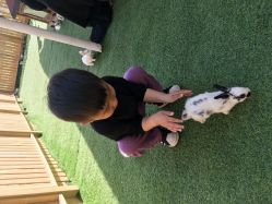 -萌宠亲子动物乐园(槐房万达店)