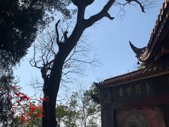-金堂县云顶石城风景区
