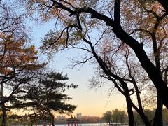 -长春市南湖公园