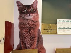 -瑞派申生动物医院·24H夜诊·国际动物医疗中心·骨外科(吴中路店)