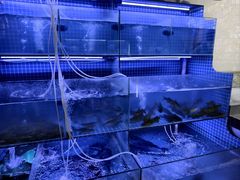 -芦茨金富饭庄·25年老字号·专做稻草鸡