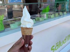 -Salud撒露欧洲冻酸奶(蓝色港湾店)