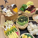 杭州中心新晋顶流山系火锅‼️ 🈶点子东西啊
