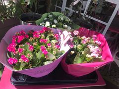 -花神咖啡馆