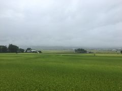 -瑞穗牧场