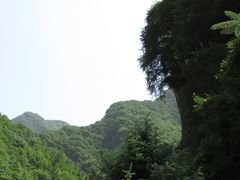 -少华山国家森林公园