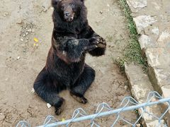 -石家庄市动物园