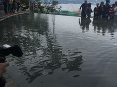 -大埔公路-马料水段香港中文大学(公交站)