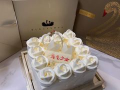 -BLACKSWAN黑天鹅(环球店)