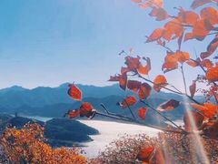 -北京金海湖景区