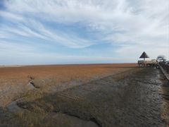-红海滩国家风景廊道