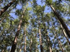 -洛阳白云山景区