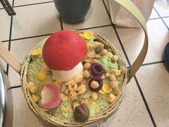 -一朵菌·野生菌探索家火锅(南亚店)