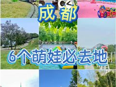 -海合安成都极地海洋公园