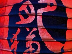 -肥猫烤翅·20年老字号(锦州道店)