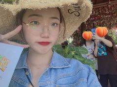 -呀诺达热带雨林