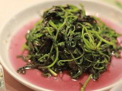 菊叶苋菜-吉事利茶餐厅