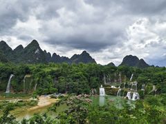 -怀德酒楼·粤菜·海鲜·茶点(宝安国际机场店)