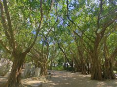 -北海市海滨公园