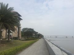 -大湾区中央湿地公园