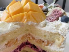 -今日·TODAY手作低脂动物奶油蛋糕定制(高新万达店)