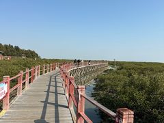 -北海金海湾红树林生态旅游区