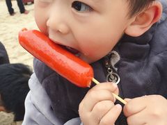 -枫香湖儿童公园