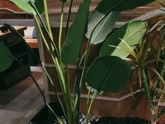 -湊湊火锅·茶憩(皇姑万象汇店)