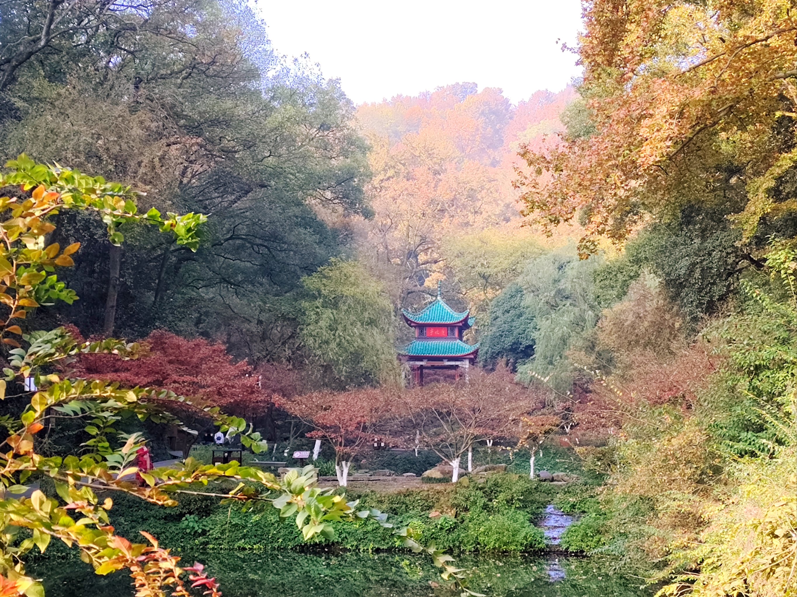 岳麓山的图片图片