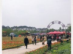 -秀丽东方