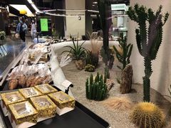 -OUR Bakery(SKP-S店)