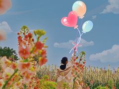 -白鹭湾湿地公园