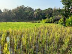 -四季酒店下午茶