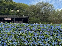 -苏州上方山国家森林公园