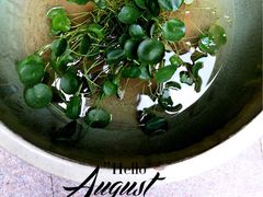 iphone_upload_pic-嘉善老市