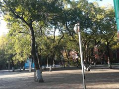 -哈尔滨文化公园