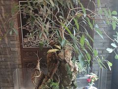 -鸢飞潍坊菜馆(鸢飞大酒店)