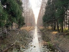 -东平国家森林公园