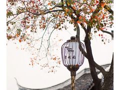 -老门东历史文化街区