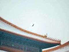 -故宫博物院(故宫)