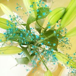 -Yue Show馨选·半永久纹眉纹眼线
