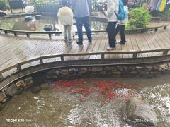 -天目湖山水园