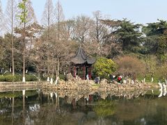 -莫愁湖公园
