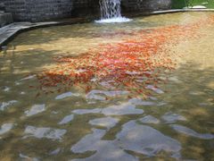 -开元溶洞