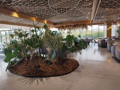 -云里小坐·海泉湾·团建·宴席·下午茶(金堂海泉湾店)
