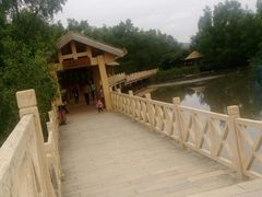 -大亚湾红树林城市湿地公园