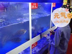 -麻麻鱼府主题涮锅(明珠家园店)